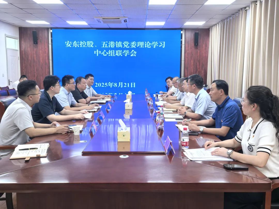 共谋乡村振兴新篇章：五港镇与安东控股开展理论学习中心组联学（组图）